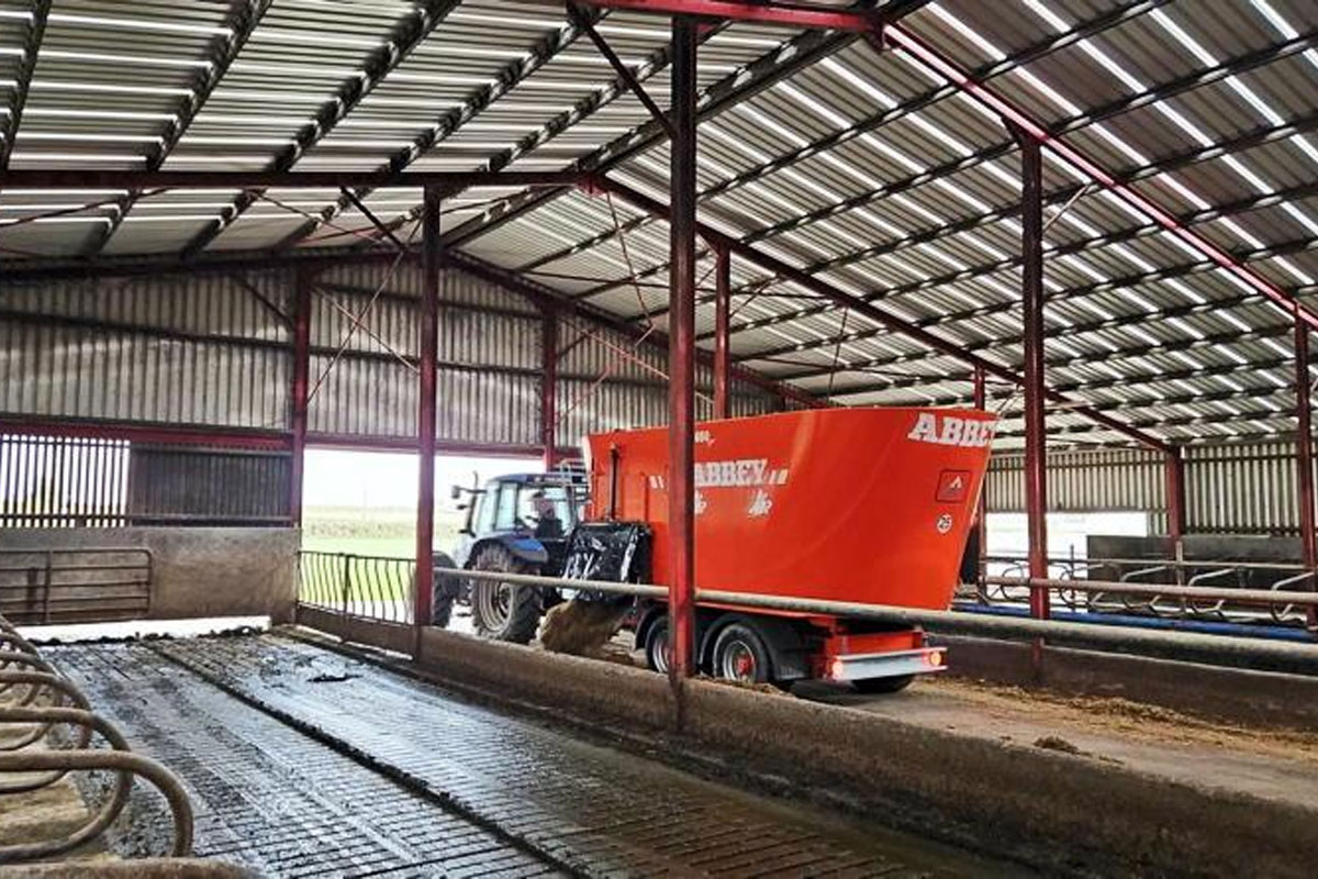 Powering Performance: Feeding Over 2,000 Cattle Daily with Abbey’s VF2650 Plus
